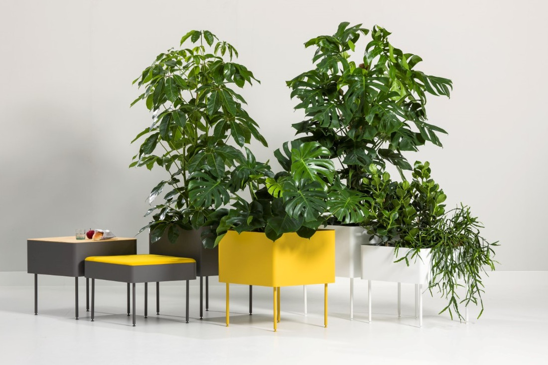 <h2>kleurrijke accessoires </h2><p>2021 is het jaar van de kleurrijke meubelen en kleurrijke accessoires voor uw kantoor. Bel met onze adviseurs voor advies.</p>